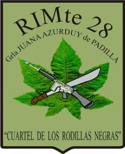 Escudo RIMte 28